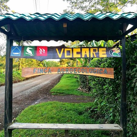 Vocare Finca Agroecologica Upala Exterior photo
