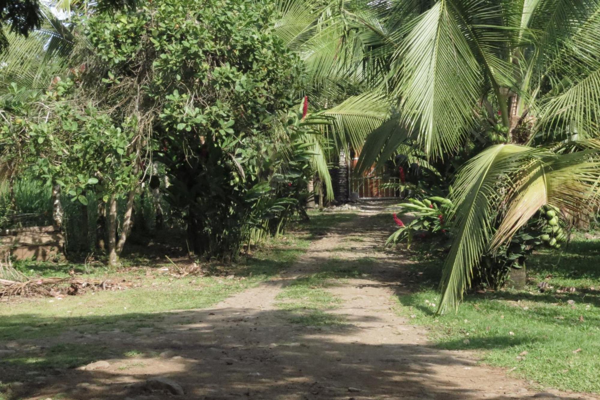 Vocare Finca Agroecologica Upala Exterior photo