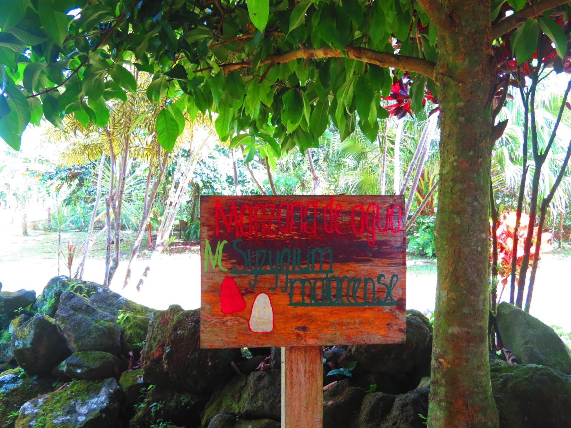 Vocare Finca Agroecologica Upala Exterior photo