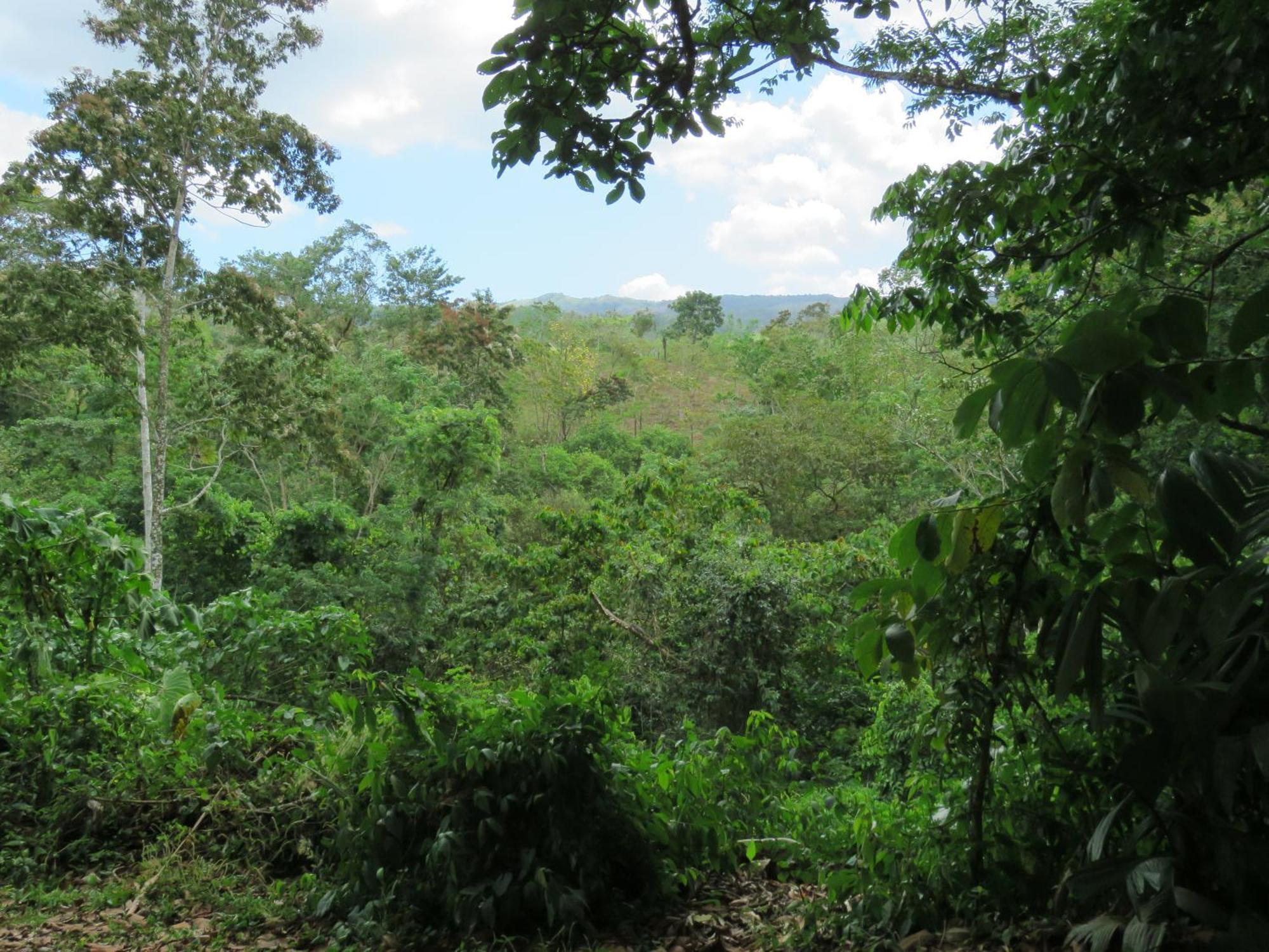 Vocare Finca Agroecologica Upala Exterior photo
