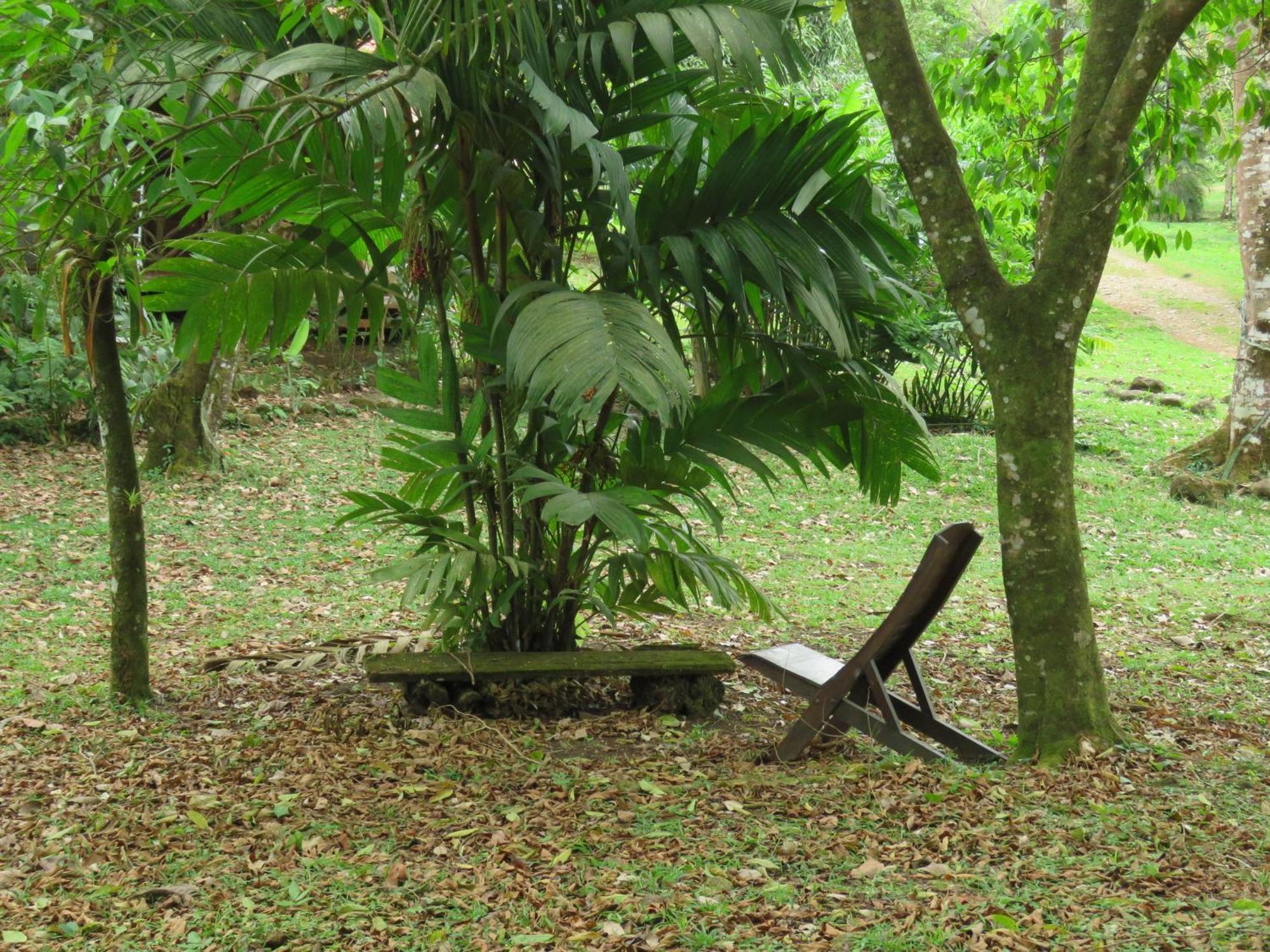 Vocare Finca Agroecologica Upala Exterior photo